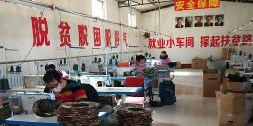 衡水市扶貧龍頭企業(yè)和扶貧車間全面復(fù)工，紡織品及針織品零售助力脫貧攻堅(jiān)