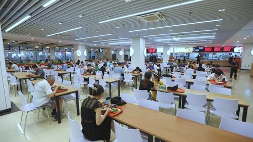 開學(xué)必看 校園食品安全與紡織品選購指南