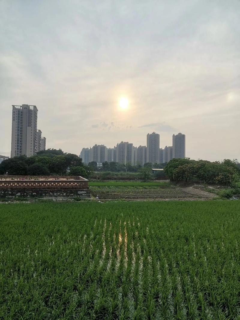 空置的商品房 珠海最大房地產(chǎn)開發(fā)商的出租之困